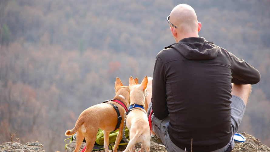 Un hombre calvo junto a sus perros. ARCHIVO