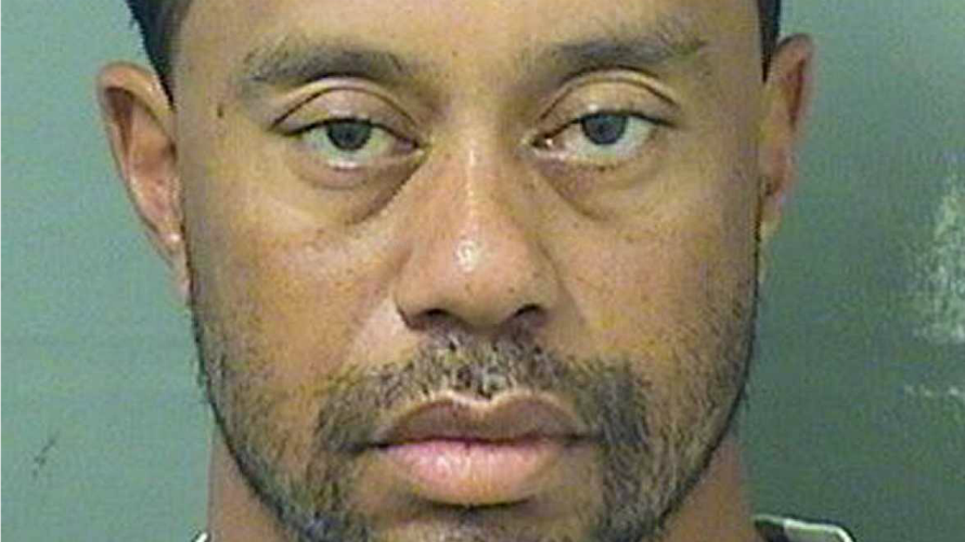 Tiger Woods en una imagen captada en comisaría.