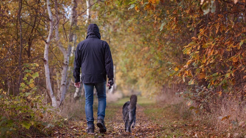 Un hombre pasea con su perro en una imagen de archivo
