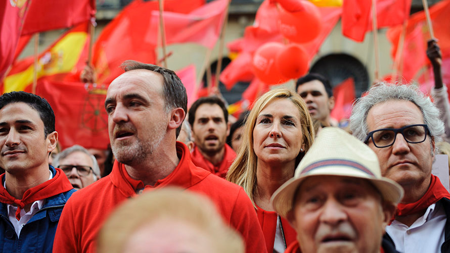 Manifestación en Pamplona en deefensa de la bandera de Navarra. MIGUEL OSÉS_55