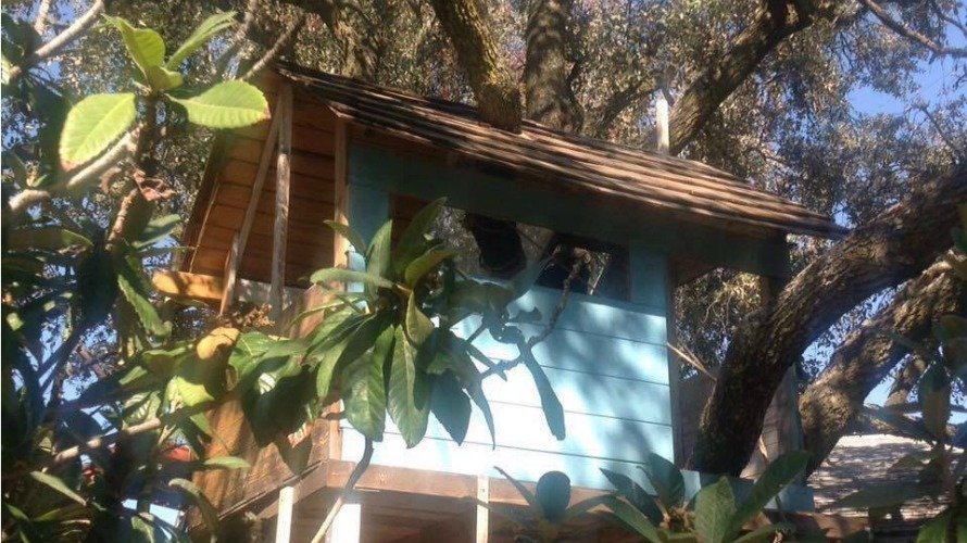 La casa que construyó en un árbol la escritora Lea Vélez para sus hijos Michael y Richard.