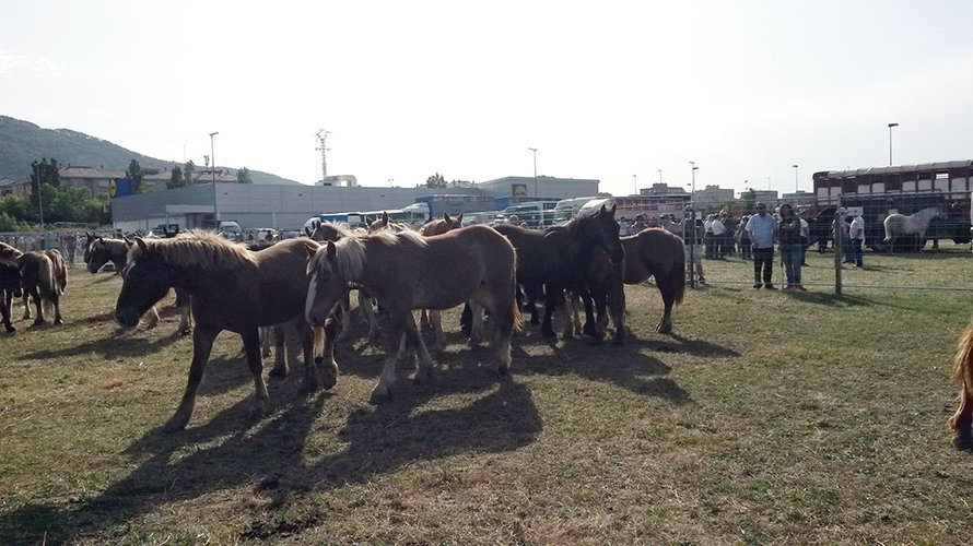 Feria del ganado equino en el polígono de Agustinos