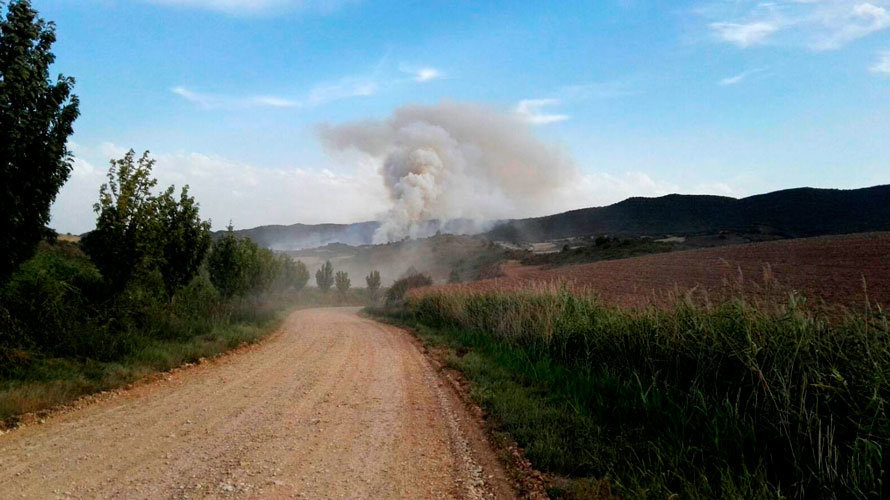 Incendio que ha afectado a parte de una zona de arbolado en Cirauqui. FORESTAL NAVARRA