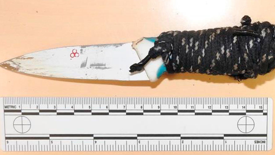 El cuchillo empleado por el agresor menor de edad para amenazar y atacar a la víctima. POLICÍA FORAL