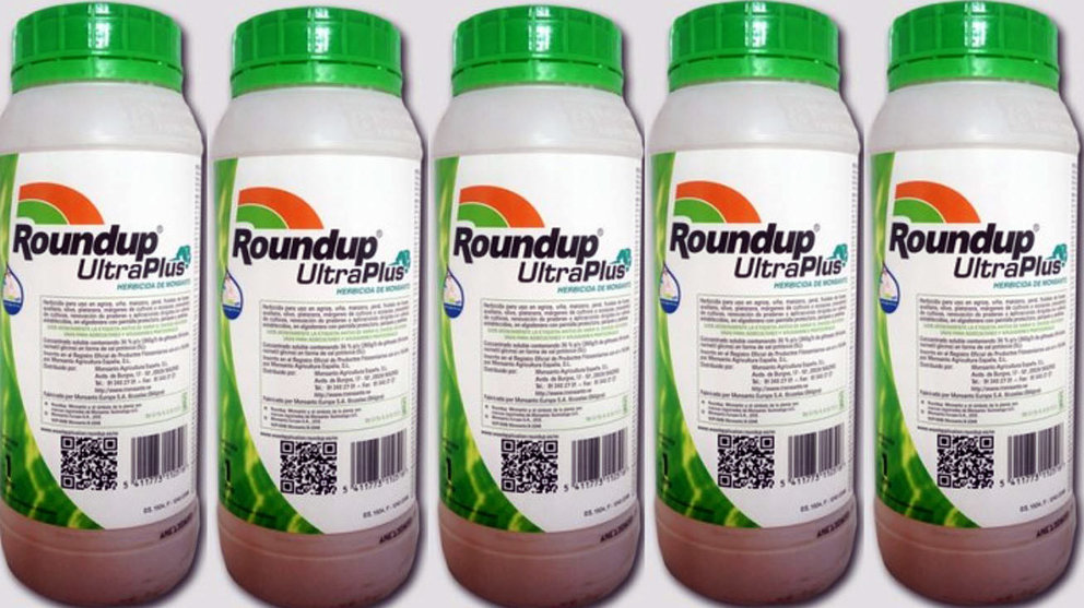 El poderoso herbicida de Monsanto que se comercializa con la denominación Roundup. 