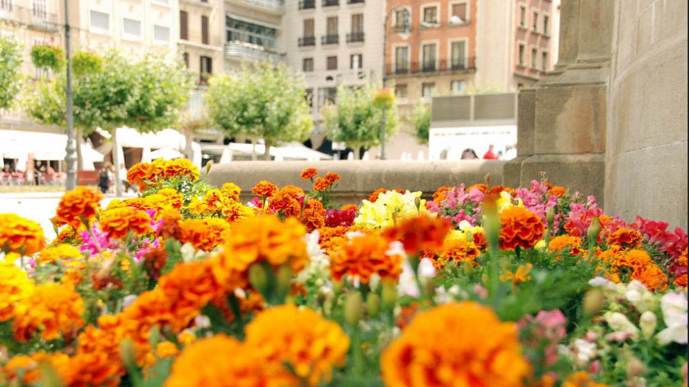 Flores en los jardines de la Plaza del Castillo de Pamplona PABLO LASAOSA