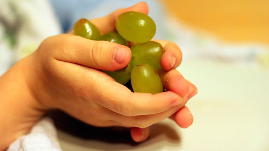 Una persona sujeta con sus manos las doce uvas en Nochevieja. ARCHIVO
