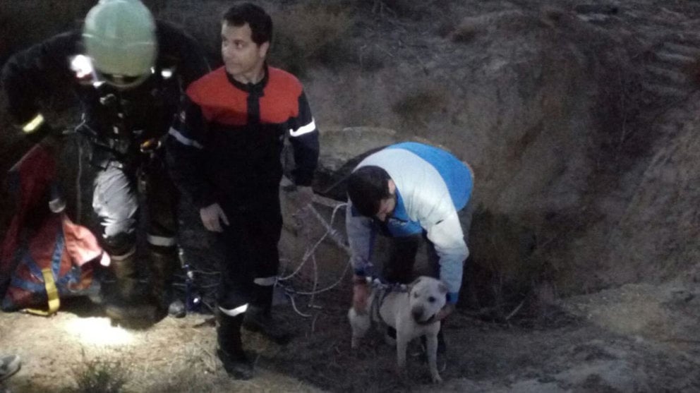 Perro caído a pozo en Corella y rescatado BOMBEROS DE NAVARRA