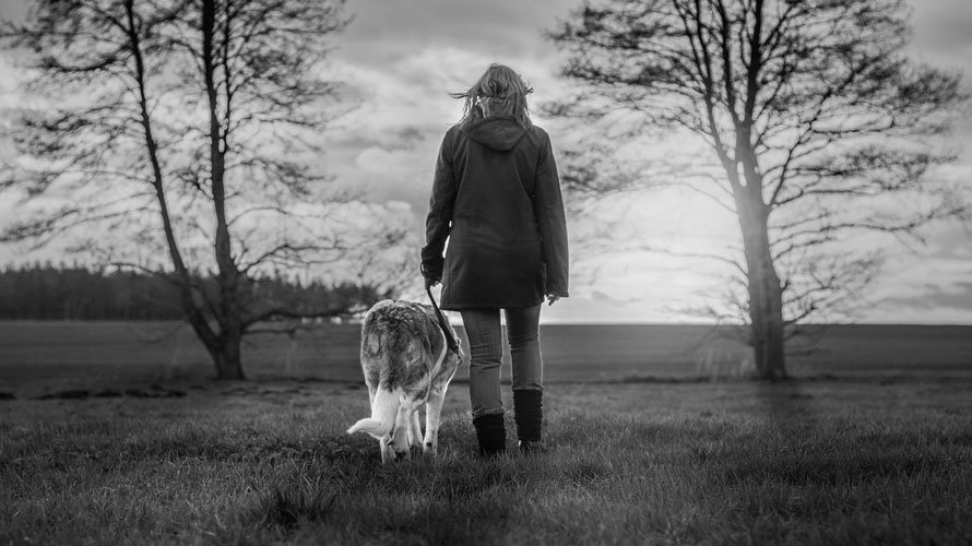 Una mujer pasea junto a su perro por el campo. ARCHIVO