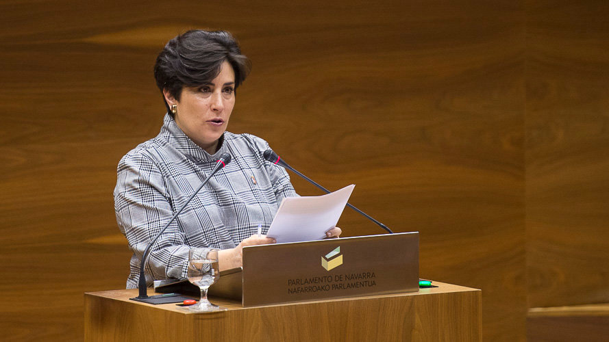 María Solana, consejera de educación, interviene en el Parlamento de Navarra. PABLO LASAOSA