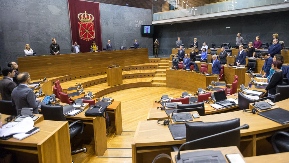 Pleno del Parlamento de Navarra(59). IÑIGO ALZUGARAY