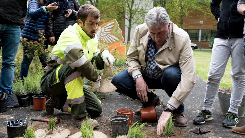 El alcalde Joseba Asirón y el personal del Servicio de Zonas Verdes finalizan uno de los Jardines de colores. MIGUEL SANTIAGO (6)