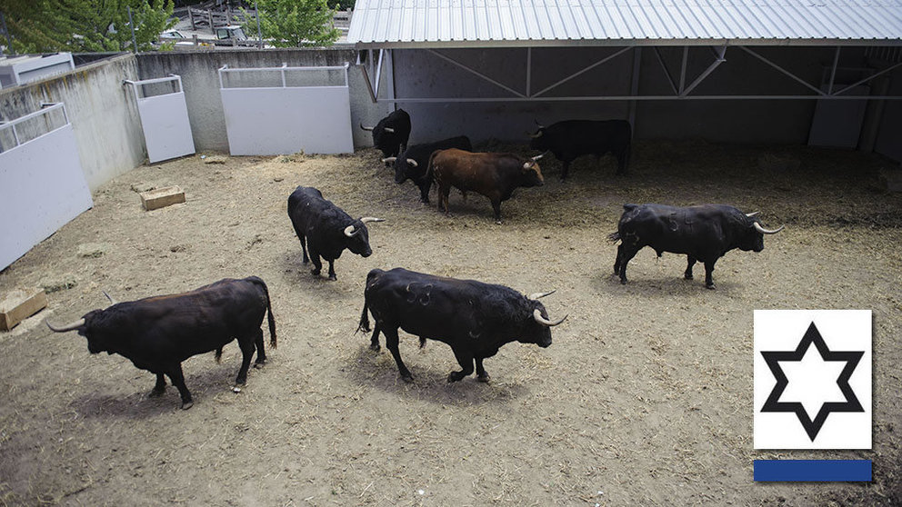 Los toros de la ganadería de Jandilla ya descansan en los Corralillos del Gas de Pamplona. MIGUEL OSÉS