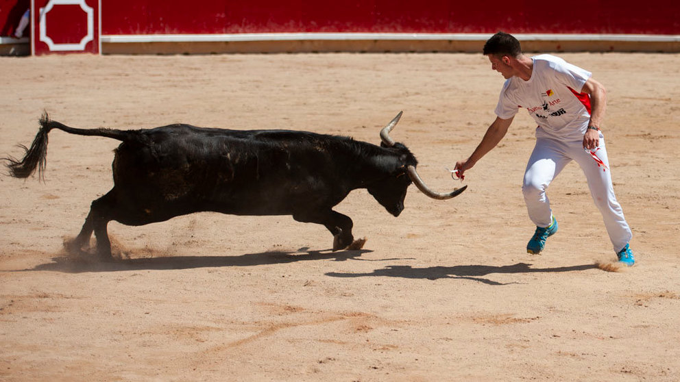Concurso de anillas de los sanfermines de 2018 en la plaza de toros de Pamplona. MIGUEL OSÉS_10