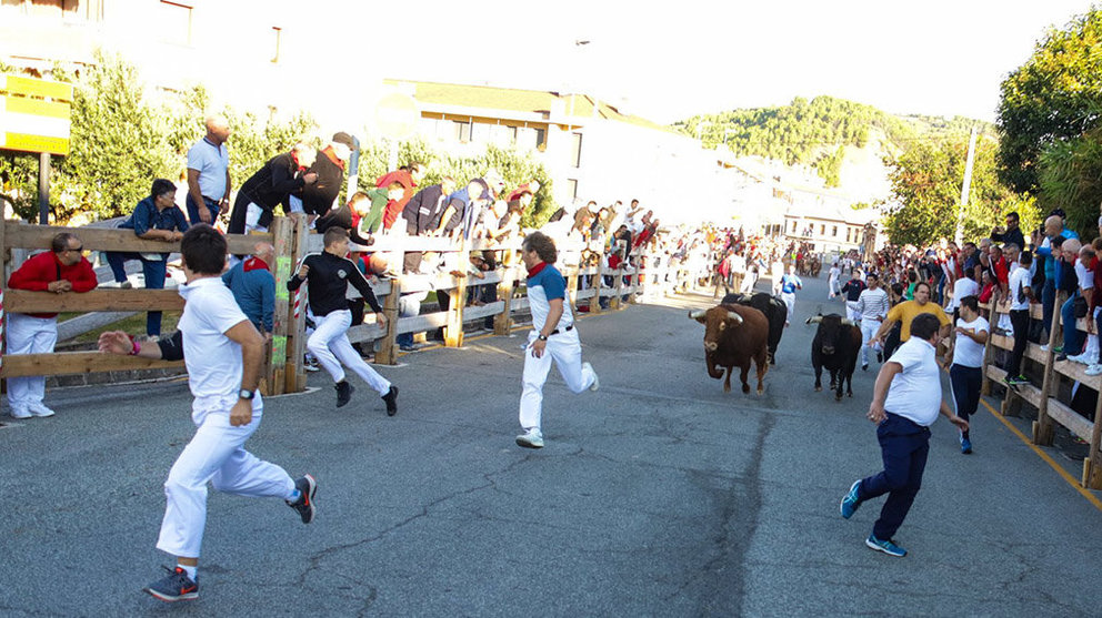 Cuatro toros de Jose Luis Iniesta, de Badajoz, protagonizan el tercer encierro de las fiestas de Sangüesa Foto AINHOA GÓRRIZ 1