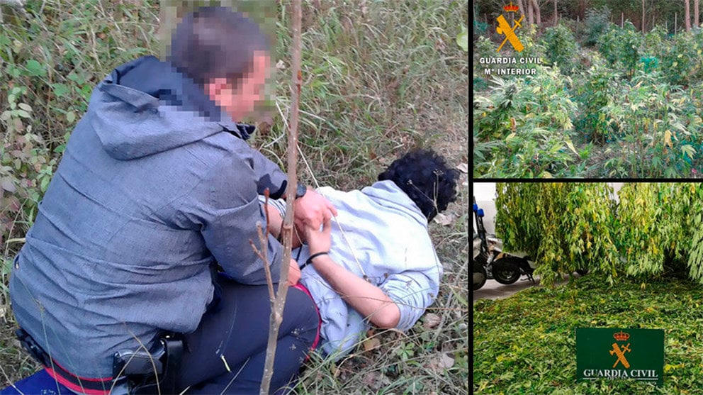 La Guardia Civil detiene a uno de los tres hombres sorprendido cosechando una plantación de marihuana cerca de Estella GUARDIA CIVIL 1