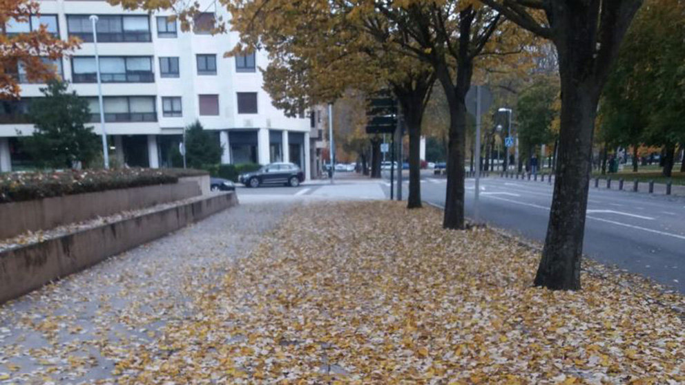 Imagen de una calle de Pamplona repleta de hojas de árboles caídas durante el otoño, en un día marcado por el tiempo frío y las nubosidades. POLICÍA MUNICIPAL