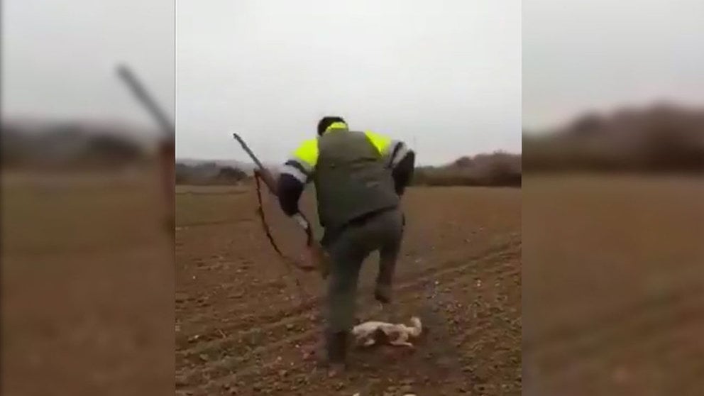 Imagen del cazador torturando a un zorro herido de muerte Foto TWITTER PACMA