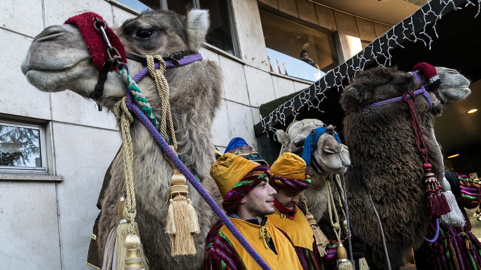 La Asociación Cabalgata Reyes Magos de Pamplona presenta la edición de este año con la presencia de los camellos de sus majestades  (10). IÑIGO ALZUGARAY