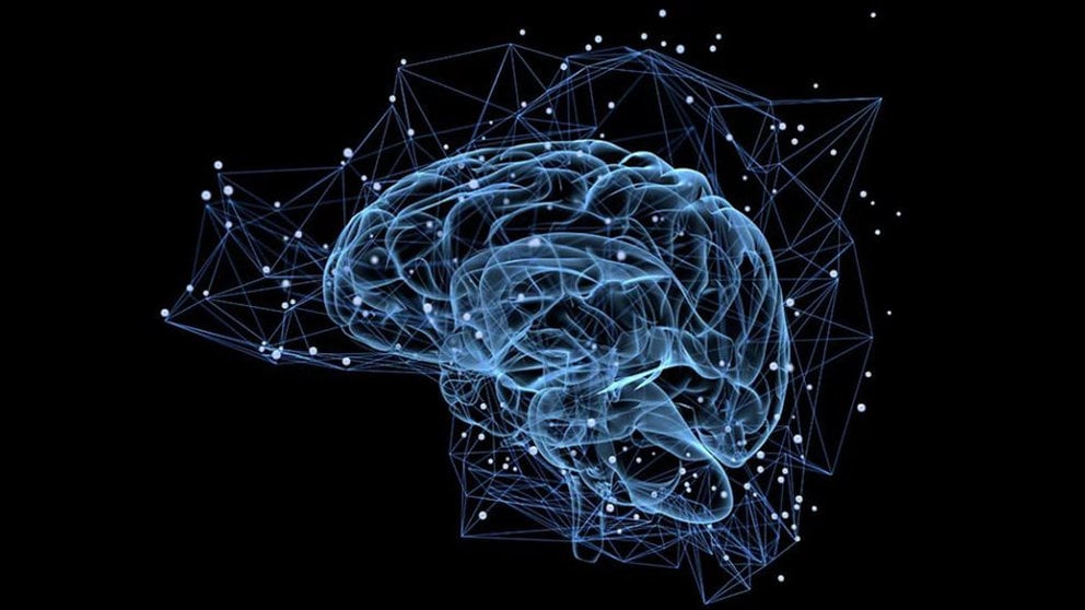 Esquema del análisis científico de un estudio sobre el cerebro humano ARCHIVO