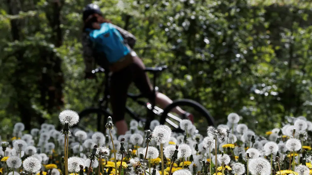 Buen tiempo en Pamplona EFE