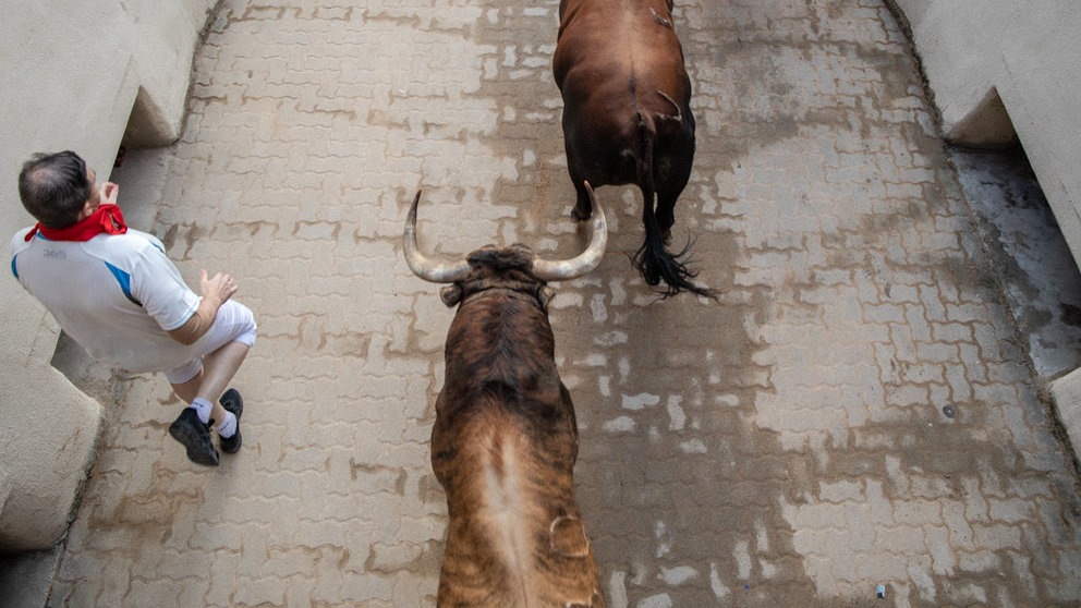 Séptimo encierro de San Fermín con toros de la ganadería La Palmosilla en el tramo de callejón y entrada a la plaza de toros. Maite H. Mateo9