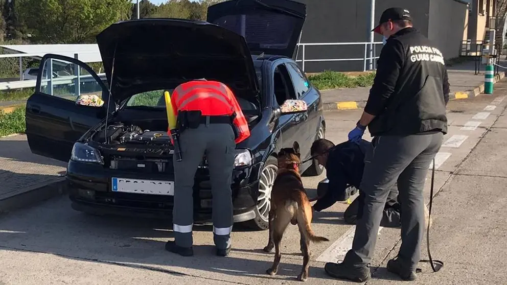 Denunciados en Marcilla por ir a una fiesta POLICÍA FORAL