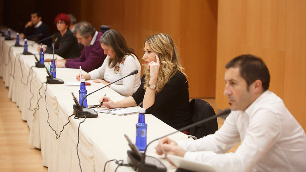 Reunión de la comisión de expertos para la desescalada del coronavirus en Navarra.  (2)