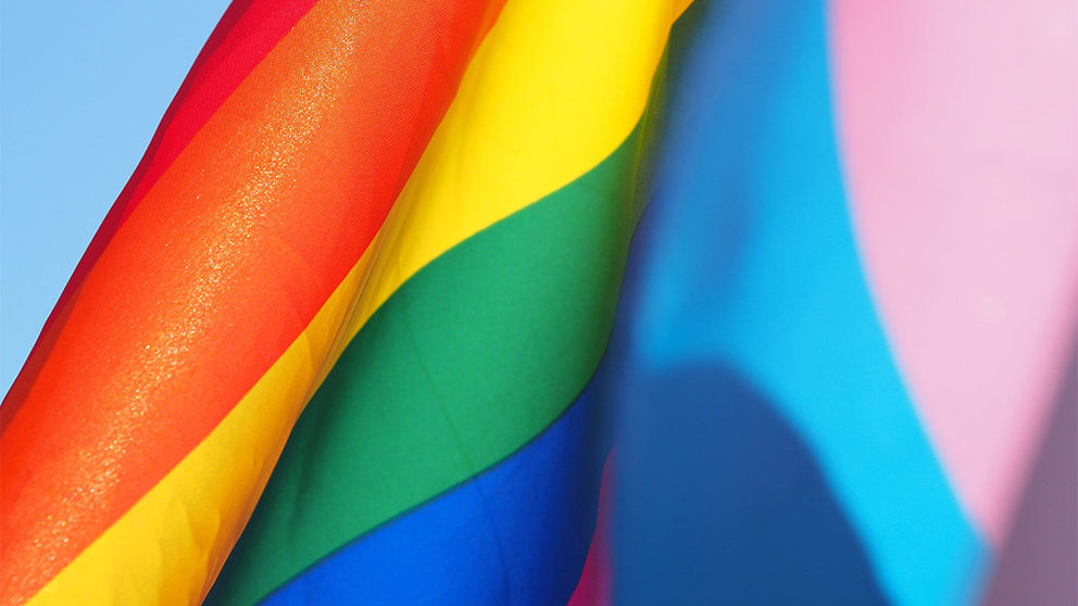 Bandera LGBT​ o bandera del arcoíris