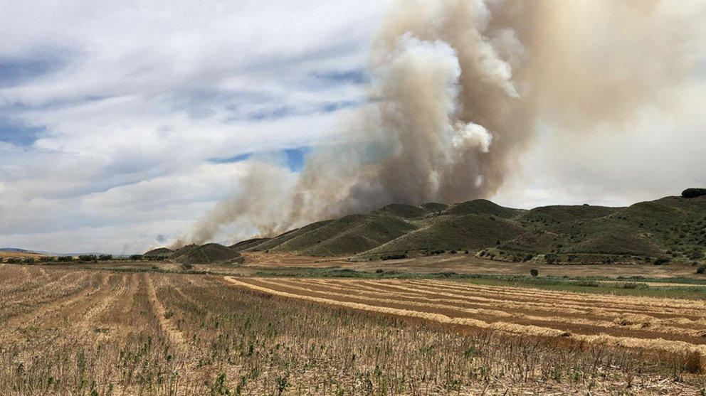 Incendio forestal declarado cerca del centro urbano de Los Arcos BOMBEROS FORESTALES DE NAVARRA