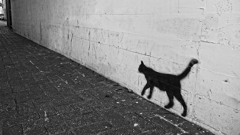 Un gato pintado en una pared de una ciudad. ARCHIVO