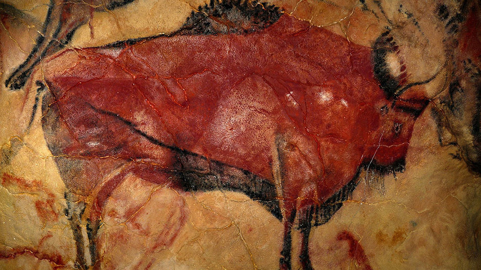 Famosa pintura de un bisonte encontrada en la cueva de Altamira. ARCHIVO