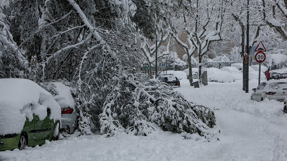 Una rama de un árbol derrumbada por el peso de la nieve tras la nevada fruto de la borrasca Filomena en Madrid. RICARDO RUBIO / EP