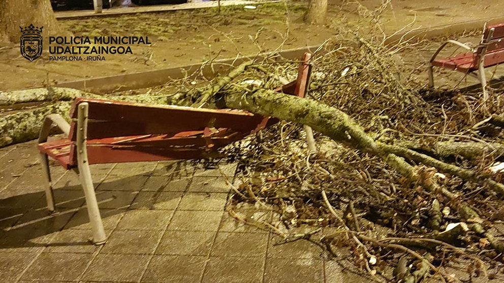 Un árbol cae sobre un banco en Pamplona por las fuertes rachas de viento. POLICÍA MUNICIPAL