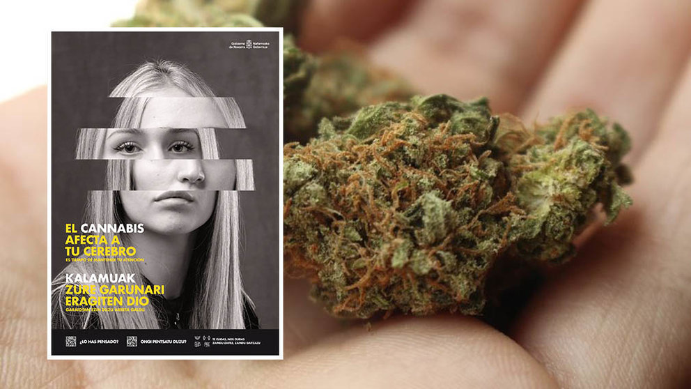 El cartel de la campaña del Gobierno de Navarra campaña 'El cannabis afecta a tu cerebro' sobre la imagen de una persona con marihuana en la mano. ARCHIVO