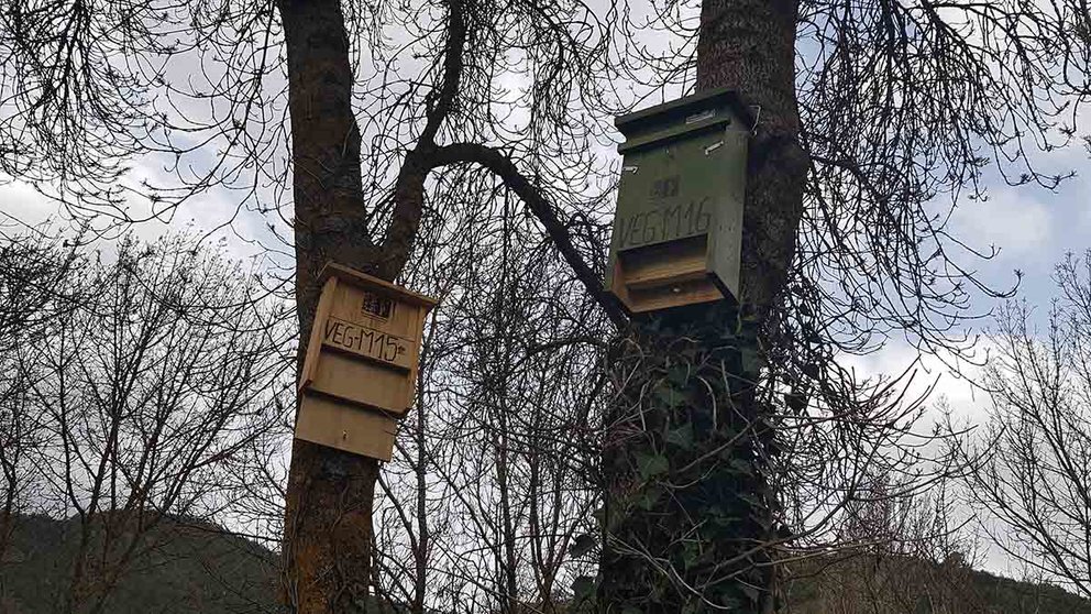 Cajas nido instaladas para alojar depredadores de la polilla del boj. GOBIERNO DE NAVARRA