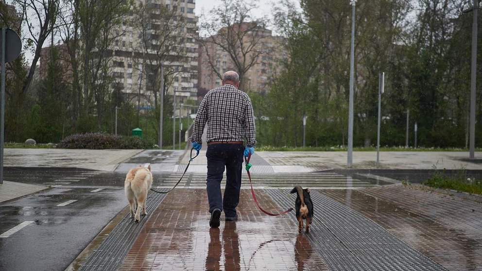 Un hombre paseando a sus perros en Pamplona. EDUARDO SANZ  (EP)