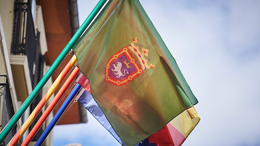 Orientar Disminución Virgen Los orígenes de la bandera de Pamplona: ¿Por qué cambió de azul a verde?