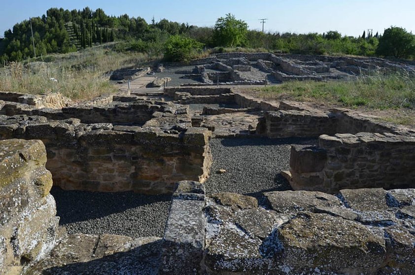 ¿Qué es Andelos? Guía para visitar la antigua ciudad romana de Navarra Foto: Andynisztan