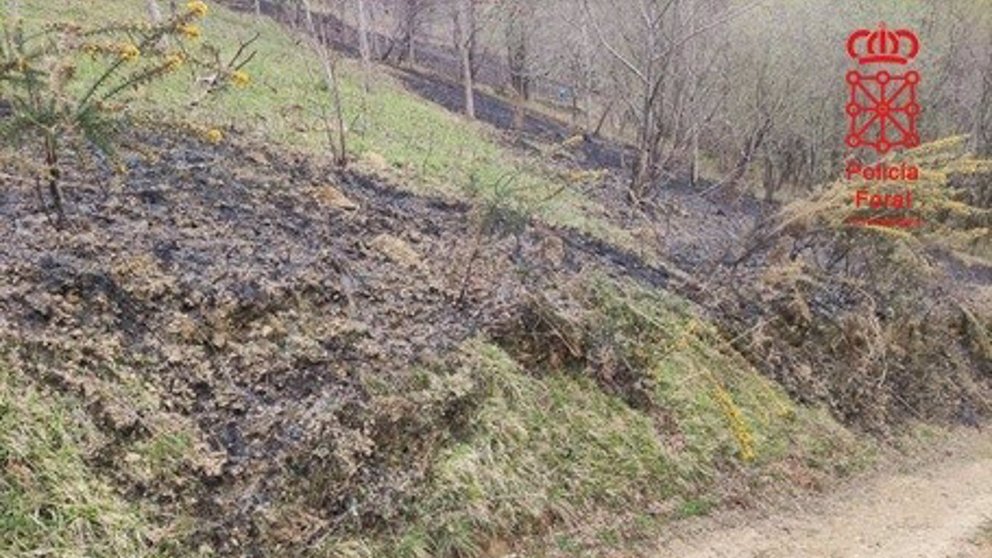 Incendio forestal en la comarca del Alto Bidasoa. - POLICÍA FORAL