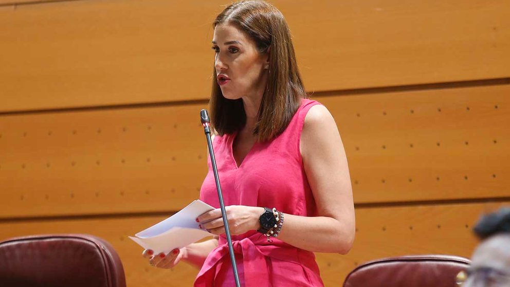 La senadora navarra Ruth Goñi, durante una sesión en la Cámara Alta.