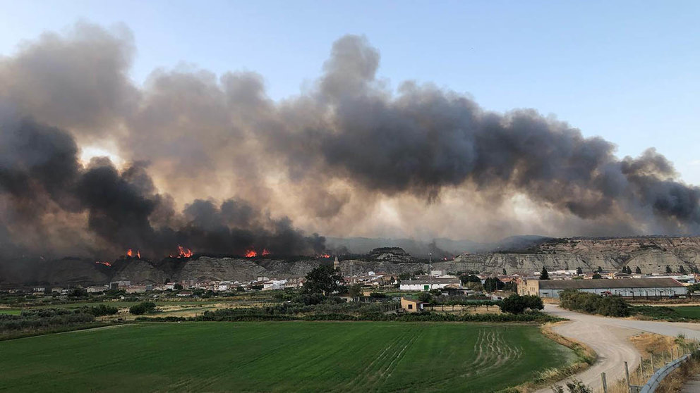 Una vista del fuego en la localidad navarra de Arguedas. CEDIDA.