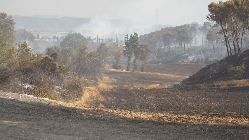 Zonas de campo arrasadas por el fuego. EDUARDO SANZ / Europa Press