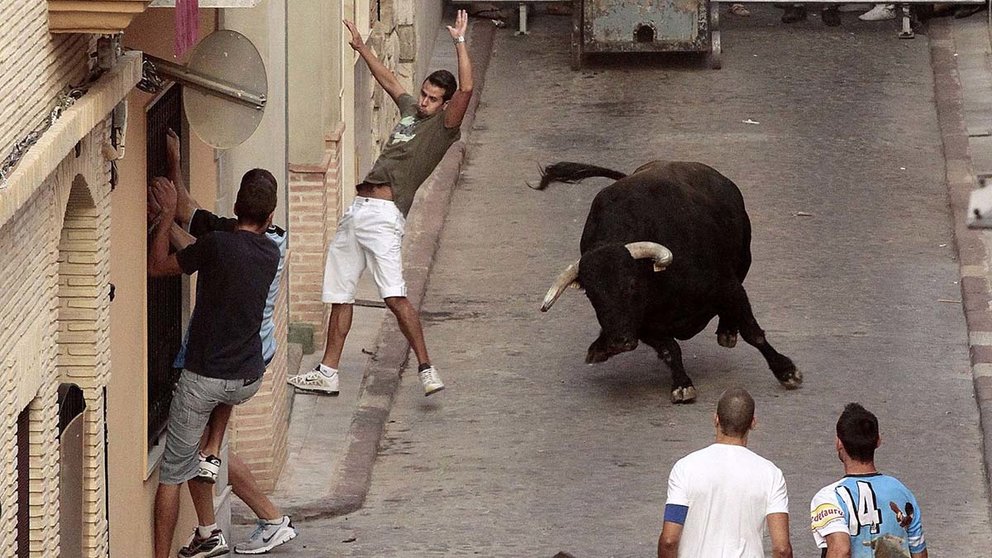Imagen de archivo de un festejo taurino de 'bous al carrer' en Puçol. AYUNTAMIENTO DE PUÇOL (VALENCIA)