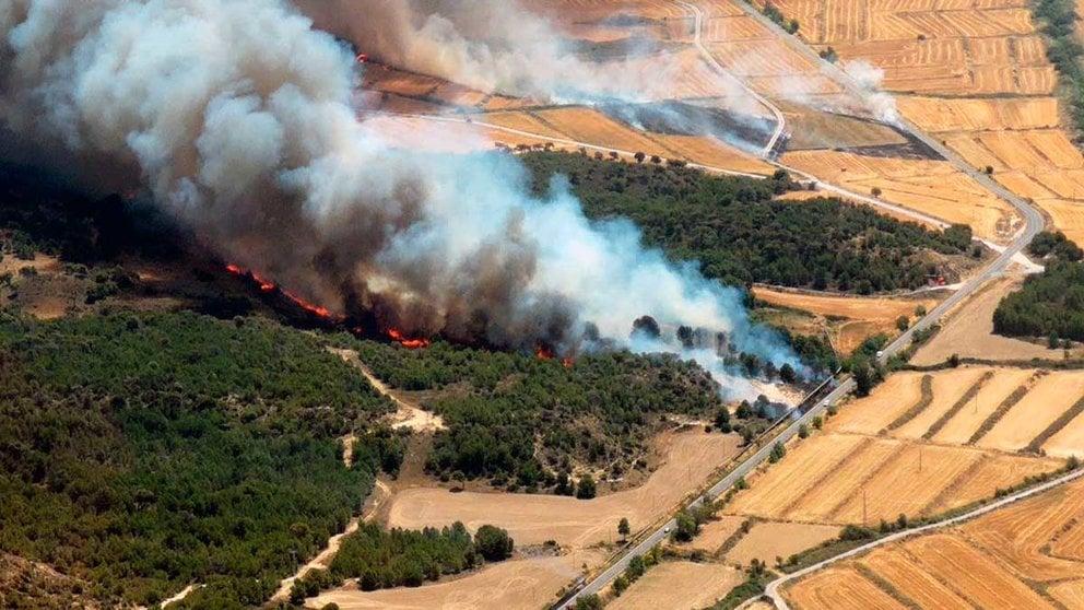 Imagen aérea de la zona afectada por un incendio en Carcastillo. BOMBEROS DE NAVARRA