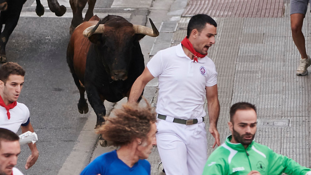 Tercer encierro de las fiestas de Tafalla 2022 con toros del Sobral. PABLO LASAOSA