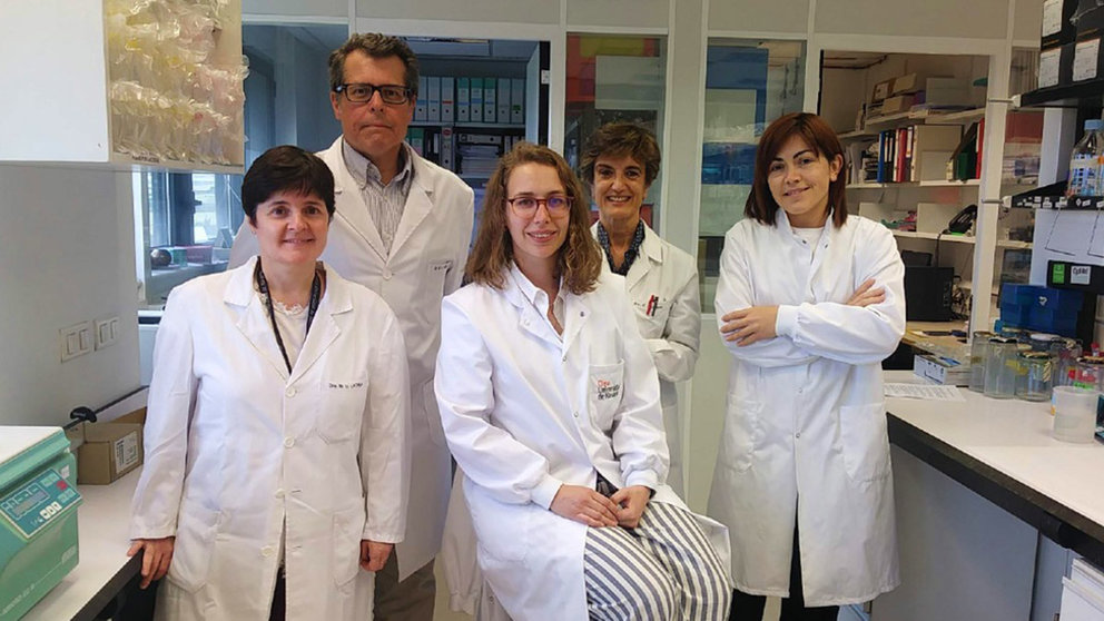 Investigadores del Cima Universidad de Navarra identifican nuevos mecanismos del cáncer de vías biliares. CIMA UNIVERSIDAD DE NACARRA