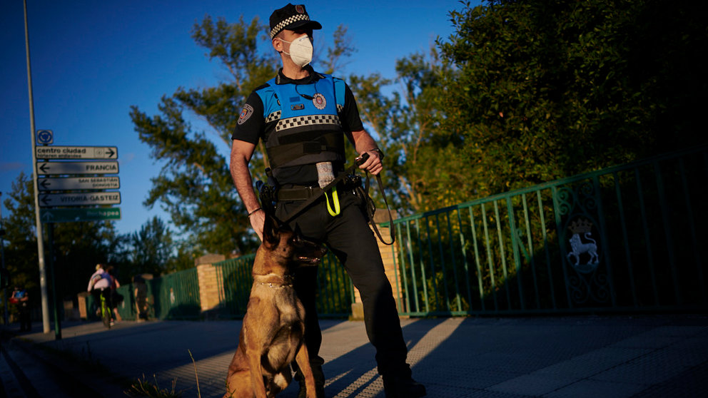 Unidad canina de busueda de rogas de Policía Municipal de Pamplona. PABLO LASAOSA