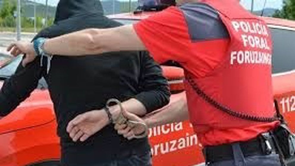 Foto de archivo de una detención de la Policía Foral. - POLICÍA FORAL