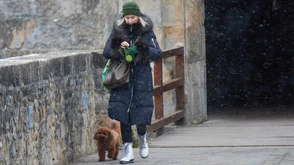 El paso de la borrasca Juliette por Pamplona deja el día más frío del invierno con temperaturas que han descendido hasta los 4 grados bajo cero y una sensación térmica cercana a los 10 grados bajo cero debido a las fuertes rachas del viento procedente del Ártico que han superado los 40 km/h y con precipitaciones en forma de nieve en polvo. IÑIGO ALZUGARAY
